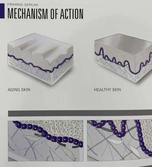 4B1E90F0-43D5-4E18-8ADF-E289D506D10A-e1576152997716